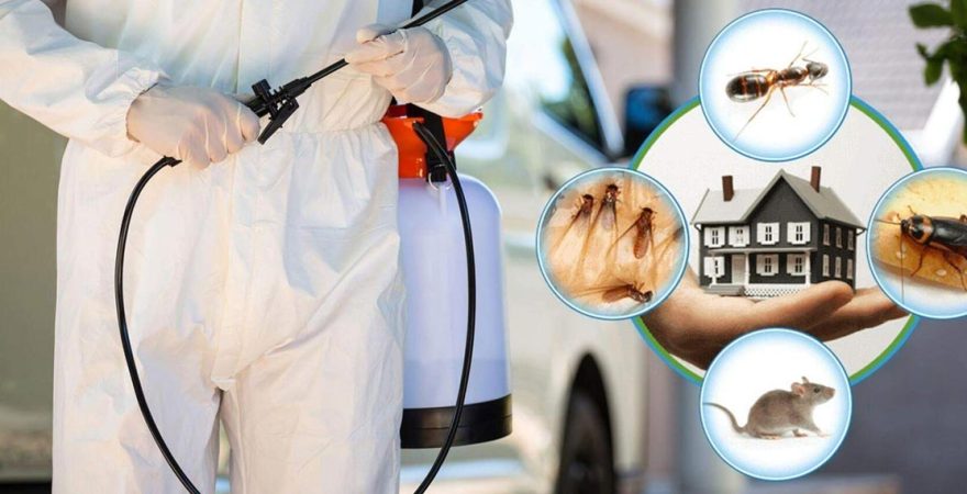 Seyhan Böcek İlaçlama