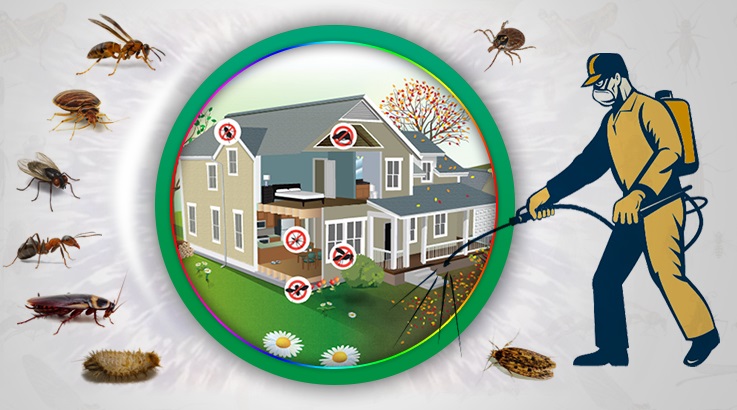 Seyhan Böcek İlaçlama