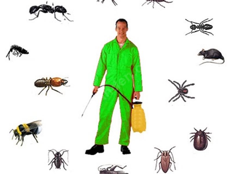 Seyhan Böcek İlaçlama